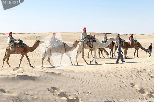 Image of Tourists on camels in line