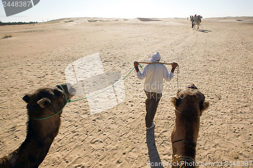 Image of Walking Berber