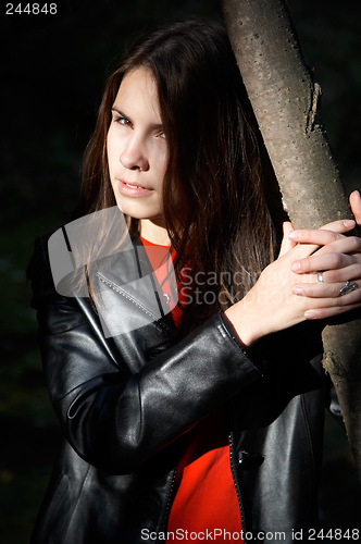 Image of Brunette girl