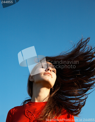 Image of Hairs on the wind