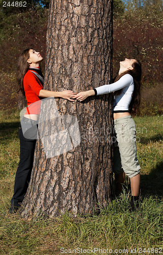 Image of Girls near Pine tree