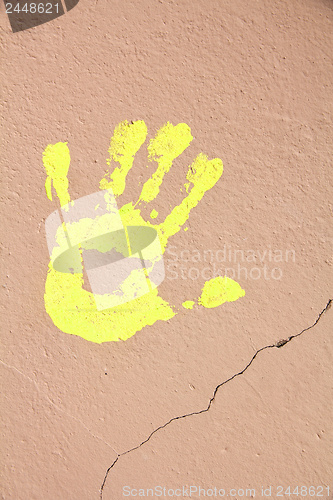 Image of Hand