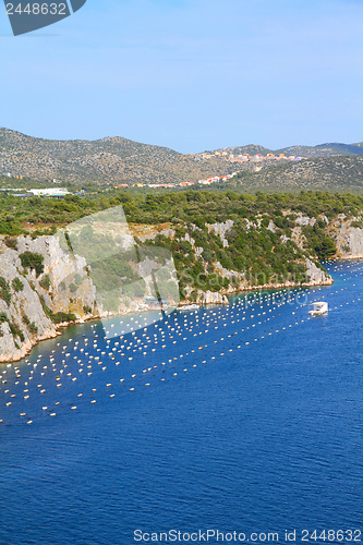 Image of Croatia - mussel farm