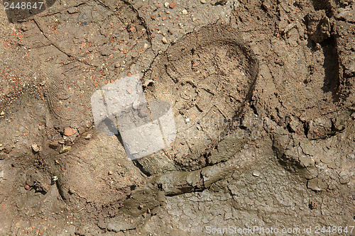 Image of Shoeprint in mud