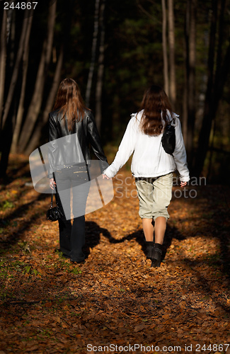 Image of Girls walking in the forest