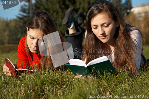 Image of Girls reading the books on the lawn