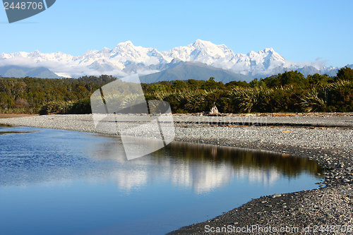 Image of New Zealand nature