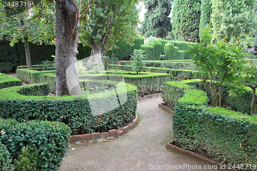 Image of Alhambra gardens