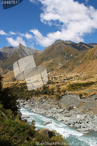 Image of New Zealand national park