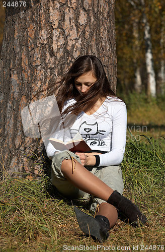 Image of Girl reading the book in the park