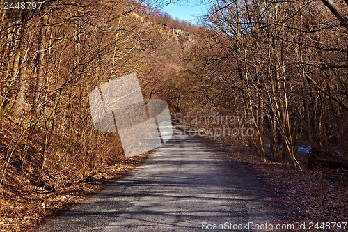 Image of Autumn road