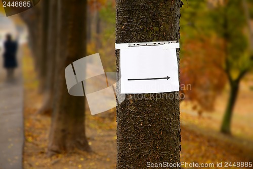 Image of Blank Sign