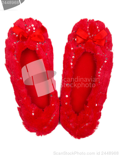 Image of House red slippers