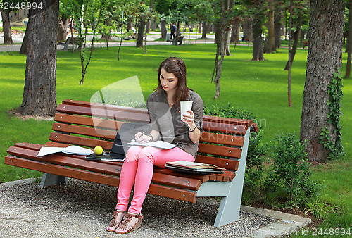 Image of Young Woman Studying in a Park