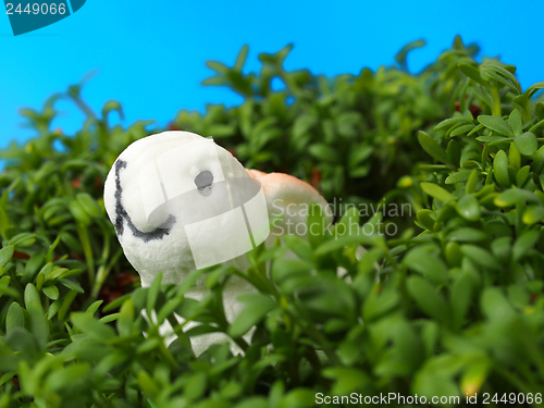 Image of Easter rabbit and cardamine