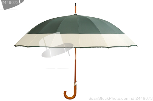 Image of Green Umbrella