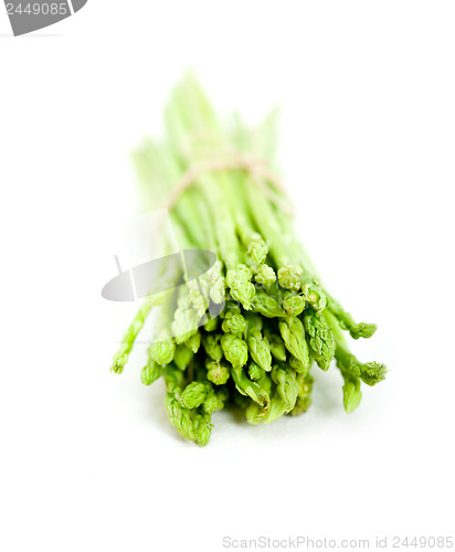 Image of fresh asparagus over white