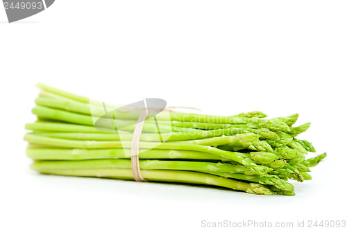 Image of fresh asparagus over white