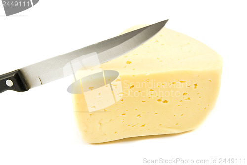 Image of cheese