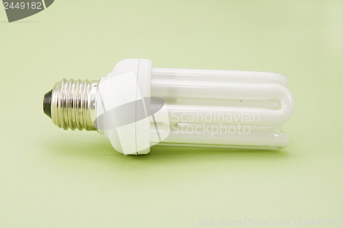 Image of the bulb