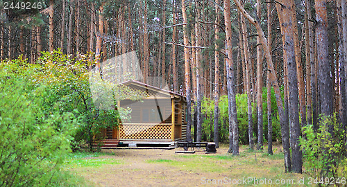 Image of wild cabin