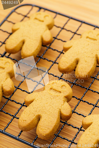 Image of Homemade baked gingerbread cookies