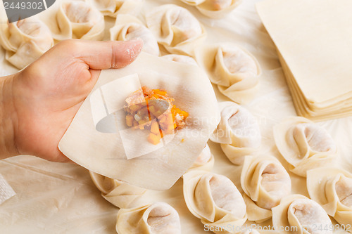 Image of Making of Chinese dumpling