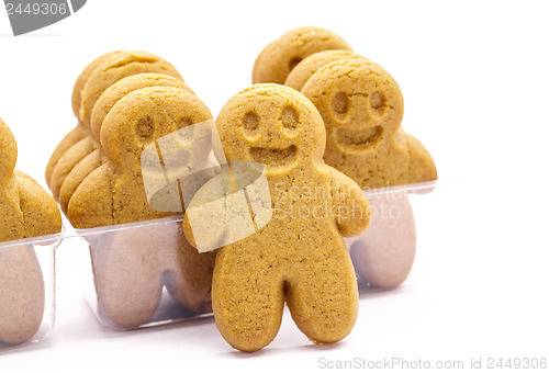 Image of Gingerbread in packing