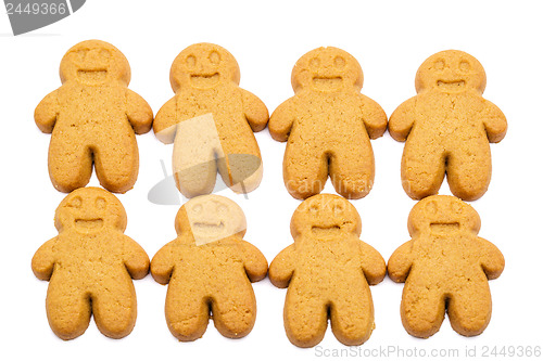 Image of Gingerbread cookies for xmas