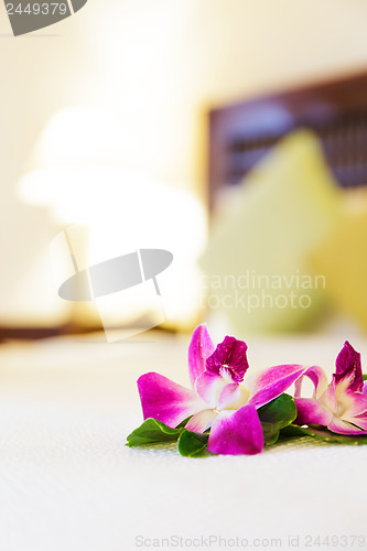 Image of Pink orchid flower in hotel room