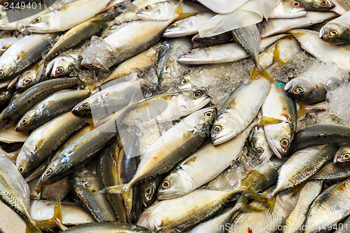 Image of Freshness fish in the market stall