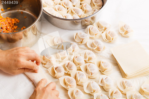 Image of Making of Chinese dumpling