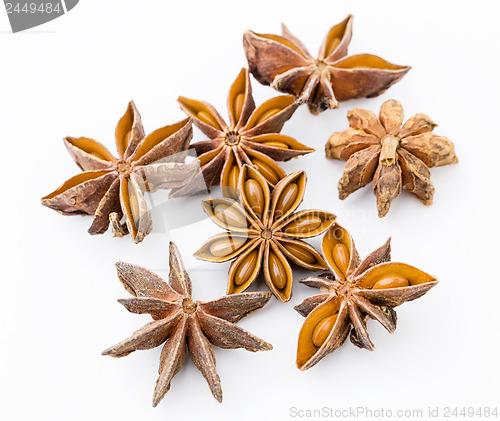 Image of Aniseed