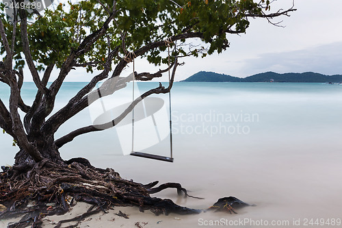 Image of Swing on beach