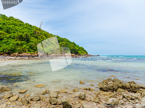 Image of Tropical beach
