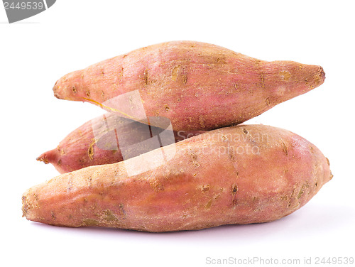 Image of Organic sweet potatoes