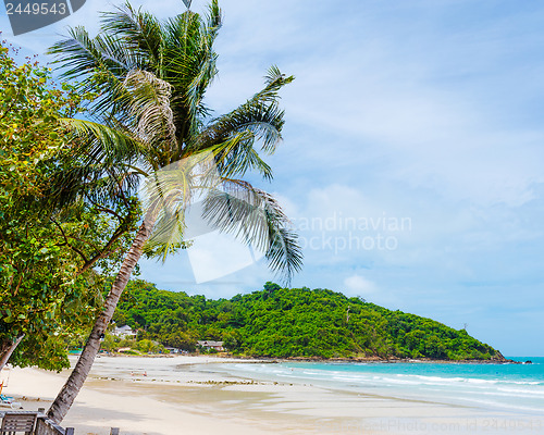Image of Tropical beach with palm trees