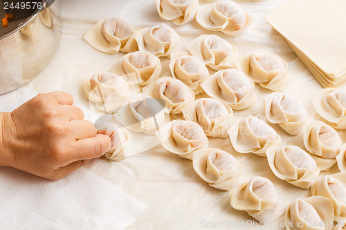 Image of Making of Traditional Chinese dumpling