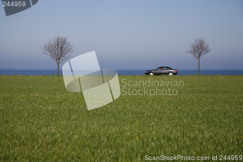 Image of Car in spring landscape