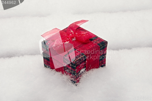 Image of Gift In The Snow