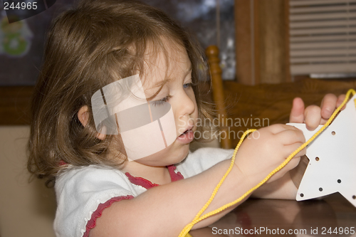 Image of Stitching a Star