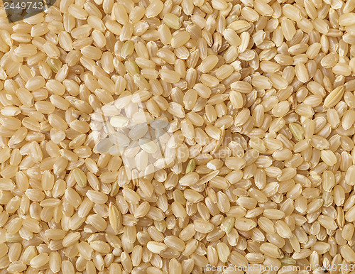 Image of Brown rice background