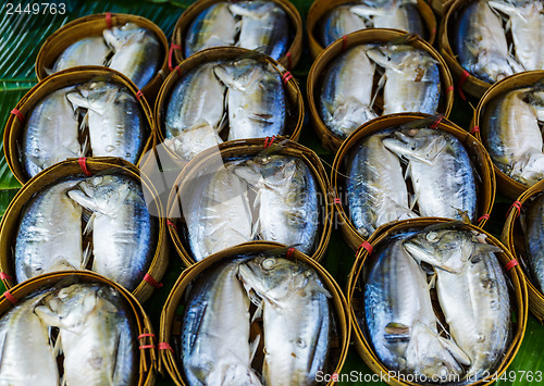 Image of Fish in barrels for sell at market in Bangkok