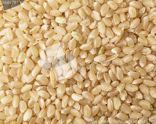 Image of Brown rice background
