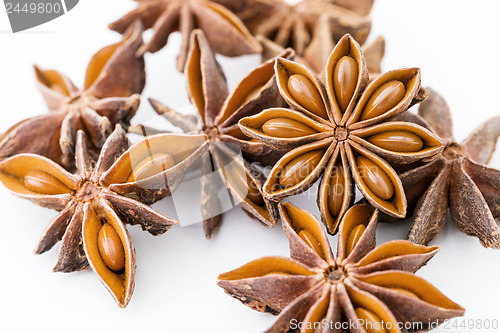 Image of Chinese aniseed close up