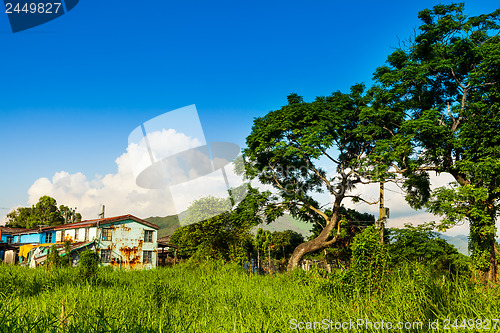 Image of Countryside with sunshine