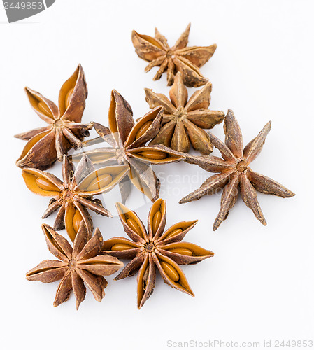 Image of Chinese aniseed