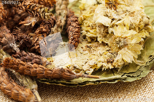 Image of Traditional chinese herbal