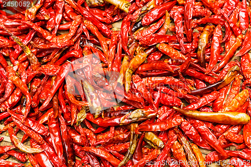 Image of Red Chili peppers