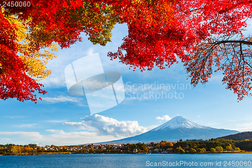 Image of Mt. Fuji in autumn